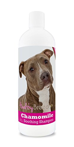 Top 10 Best Shampoo For Pit Bulls of 2022