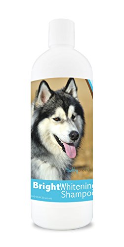 Top 10 Best Shampoo For Husky Dogs of 2022