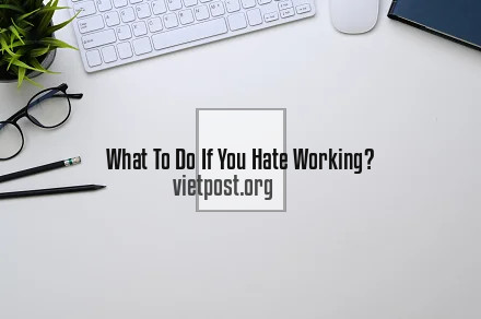 What To Do If You Hate Working?