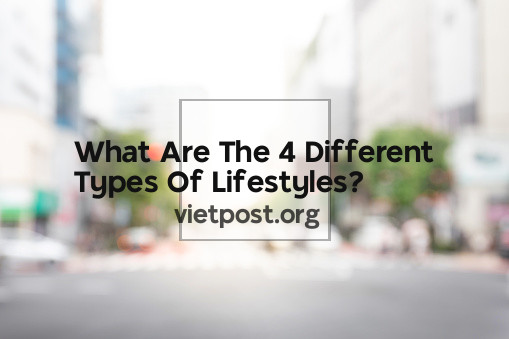 What Are The 4 Different Types Of Lifestyles?