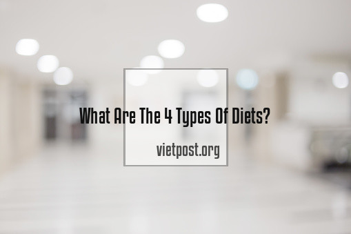 What Are The 4 Types Of Diets?
