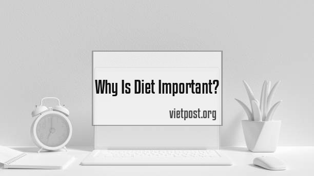 Why Is Diet Important?